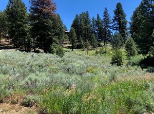 6 San Ignacio Way, Cascade, ID 83611