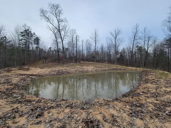 0 Mo-49, Goodland, MO 63623