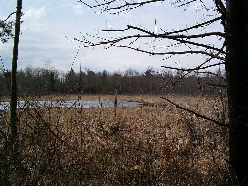 3rd image of 0 KNOX CAVE Road
