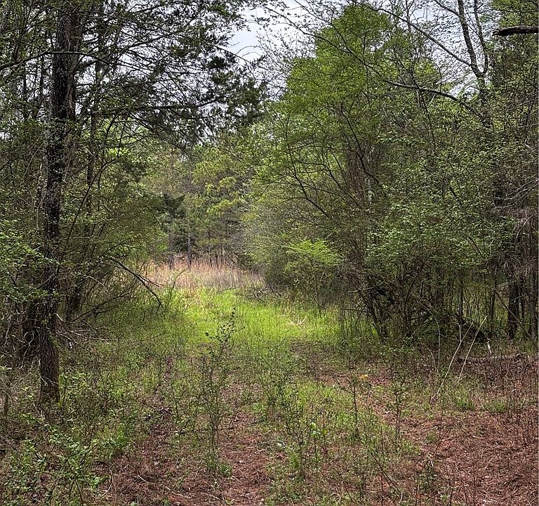 2nd image of White Oak Rd