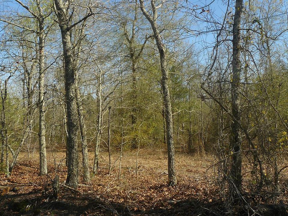 1st image of 00 North St