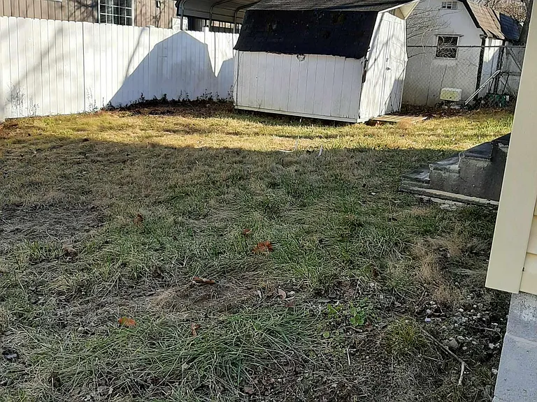 Back yard