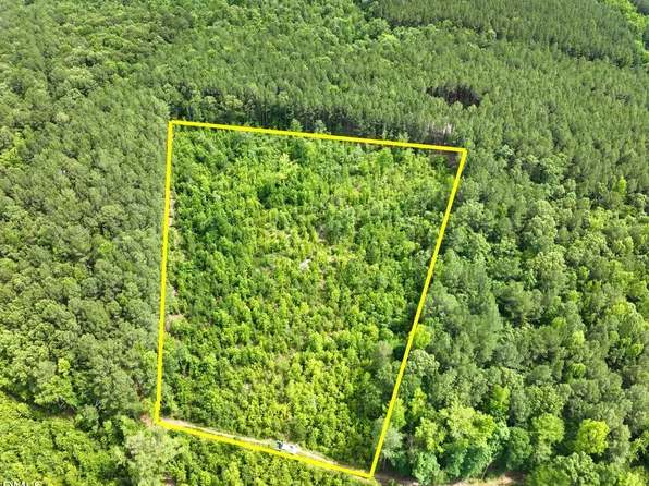 0 John Robert Headen Rd, Moncure, NC 27559