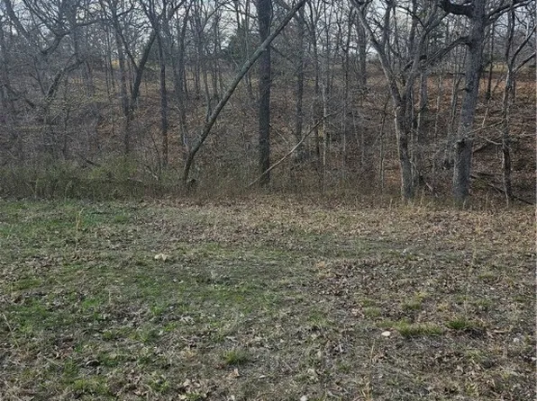 Oak Hollow Rd, Noel, MO 64854