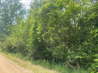 V/l N Street A #55, Grand Junction, MI, 49056