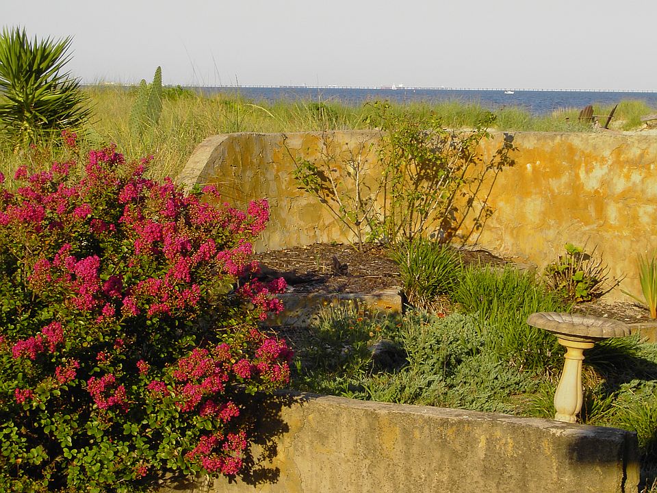 Front yard