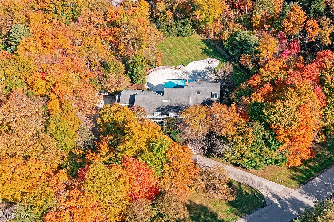 75 Stonewood Dr photo 1