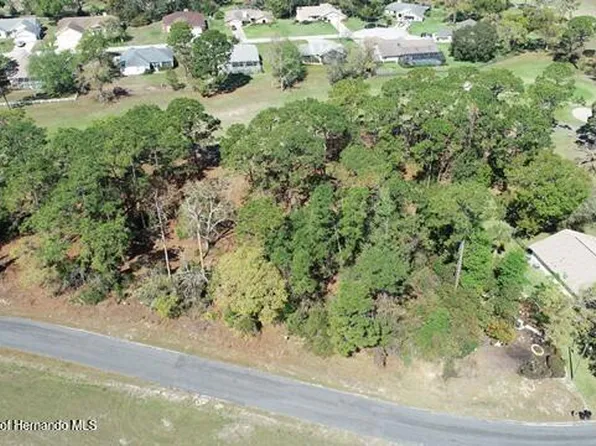 5339 Keysville Ave, Spring Hill, FL 34608