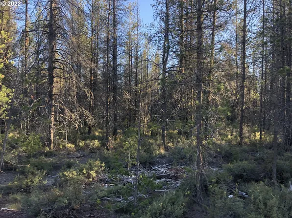 Munson Dr Lot 1, Chiloquin, OR 97624