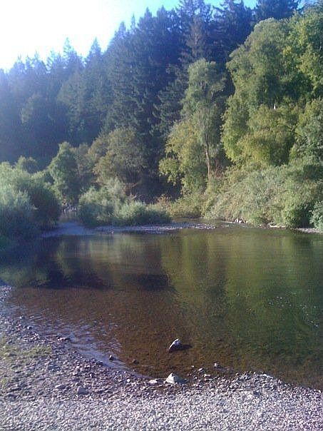 Our beach