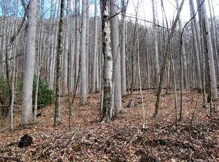 00 Thomas Park Dr, Waynesville, NC 28786