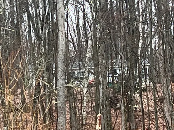 11788 E Four Mile Rd, Leroy, MI 49655