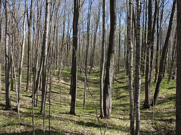 3rd image of Lot #3 ROUND LAKE RD
