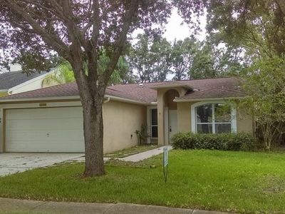 2506 Countryside Pines Dr, Clearwater, FL, 33761