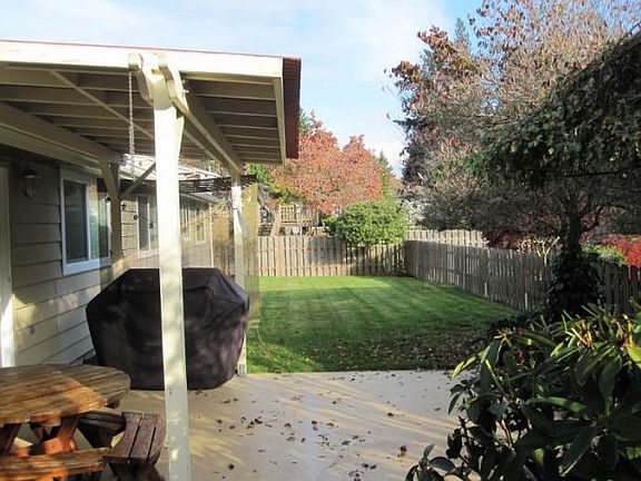 Backyard 3