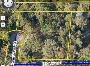 7166 Juniper Ave, Webster, FL 33597