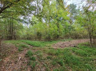 790 Nelson School Rd, Paris, TN 38242