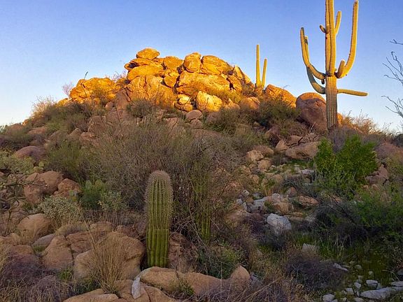 4th image of 1384 W Tortolita Mountain Cir