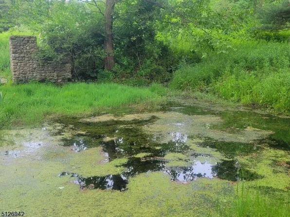 39 Rubin Hill Rd, Montague Twp., NJ 07827