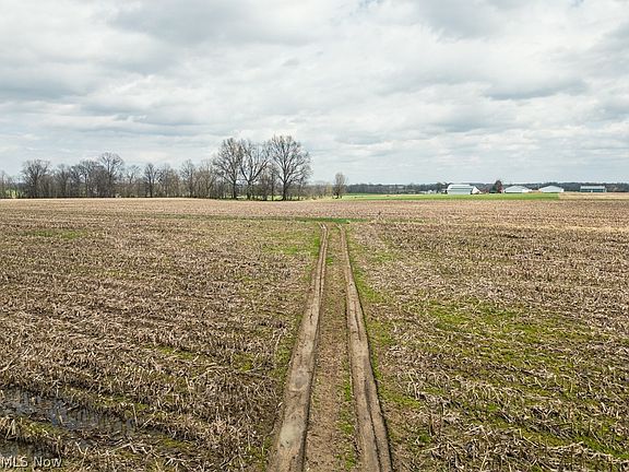 5th image of Steiner Rd
