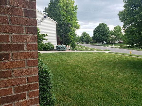 Front Yard