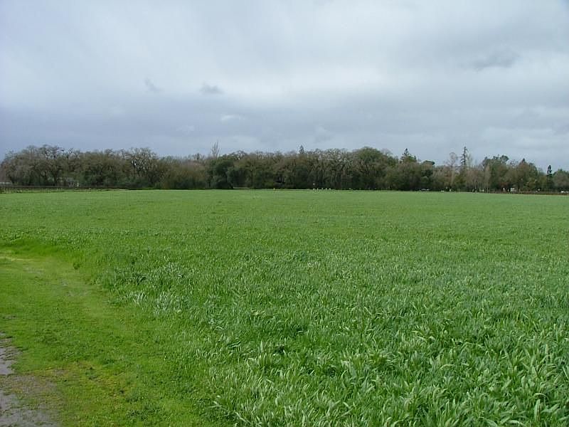 1st image of 11769 N Highway 99