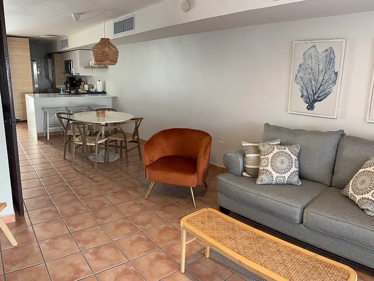 Dorado Del Mar Blvd — Photo 4