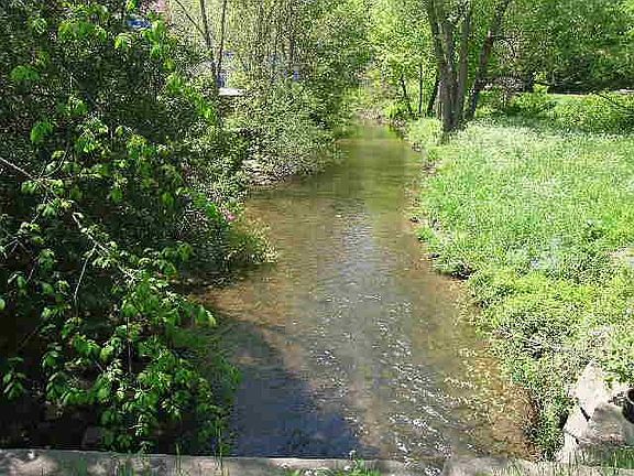 Trout Stream