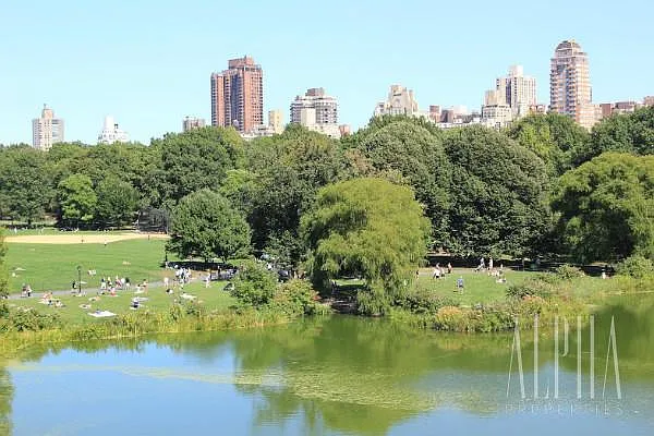 Rented by Alpha Properties NYC I LLC | media 26