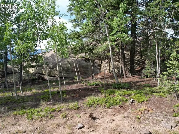 214 Arapahoe St, Woodland Park, CO 80863
