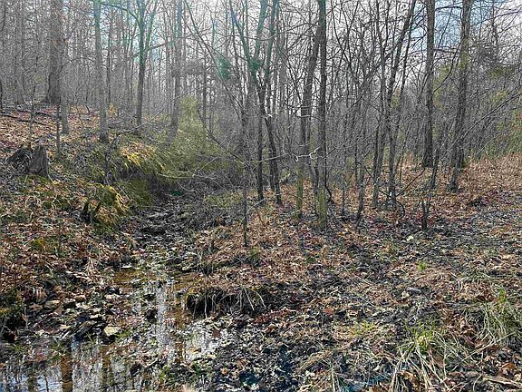 3rd image of Xx N Summit Ridge Dr