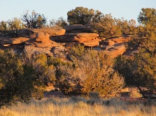 Tbd County Road 9005, Concho, AZ 85924