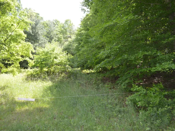 0 Little Mountain Rd #3, New Castle, VA 24127