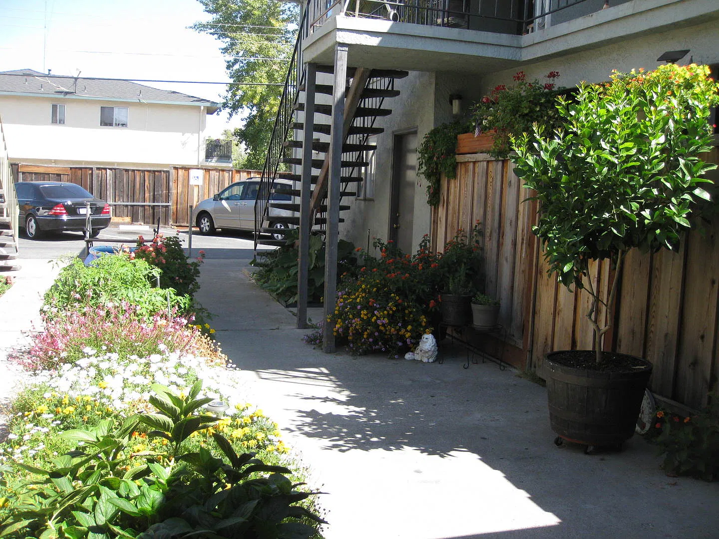 Hollis Avenue — Photo 4
