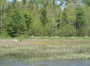 04 E M 134, Cedarville, MI 49719