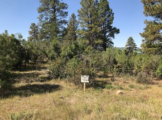 373 Caddy Cir, Pagosa Springs, CO 81147
