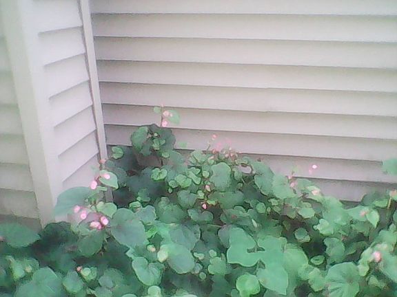 3rd image of 5327 Dalton Ln
