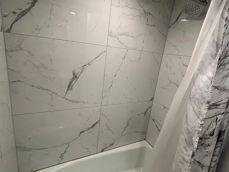 Master Bath Shower