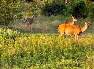 170 County Road 505, Goldthwaite, TX 76844
