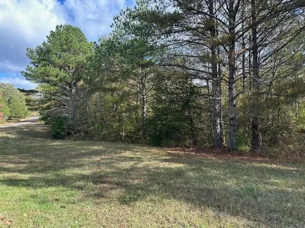 0 Raymond McAnally Rd, Savannah, TN 38372