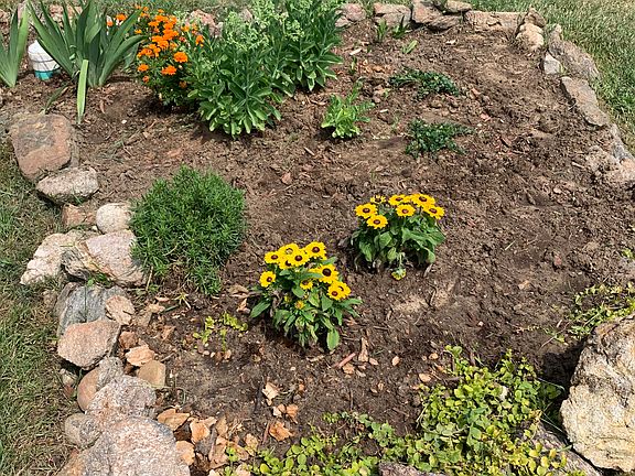 Front flower bed