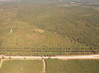 Old Cc Camp Rd, Greeleyville, SC 29056