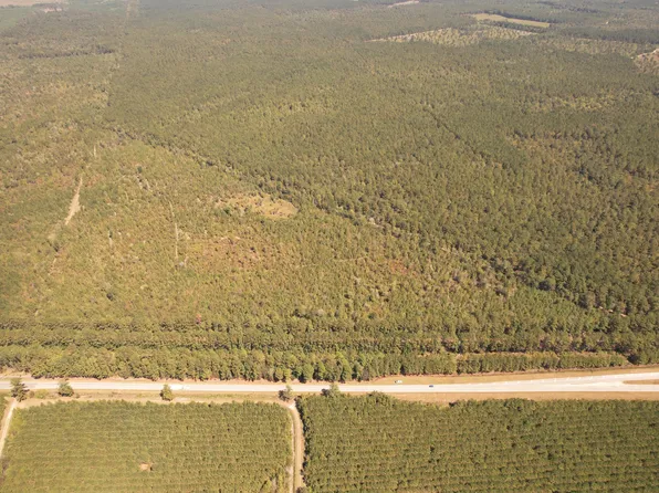 Old Cc Camp Rd, Greeleyville, SC 29056