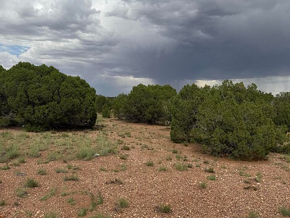 5th image of 4205 Pinon Ln