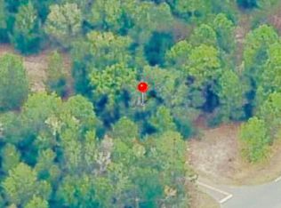 0 Guava Terr Trak, Ocklawaha, FL 32179
