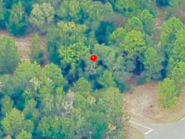 0000 Guava Terrace Track, Ocklawaha, FL 32179