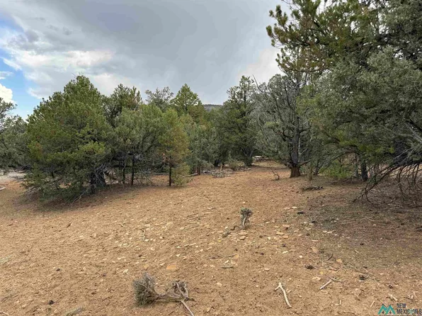 0 Pinon Rdg, Los Ojos, NM 87551