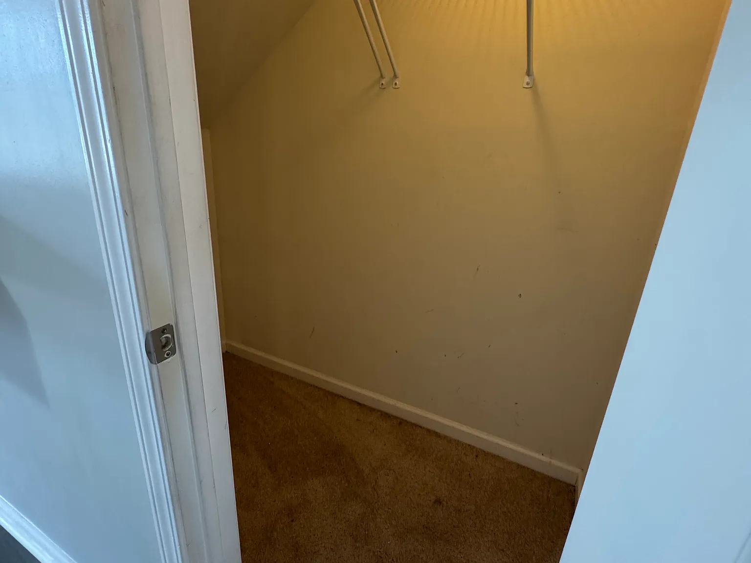 3 bed, 1446 sqft, $2,000 — Photo 4