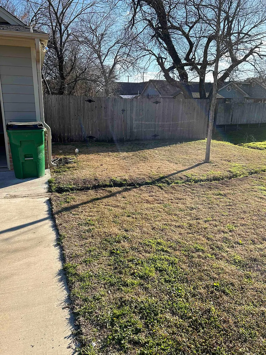 Front side-yard - 505 W Brady St #B