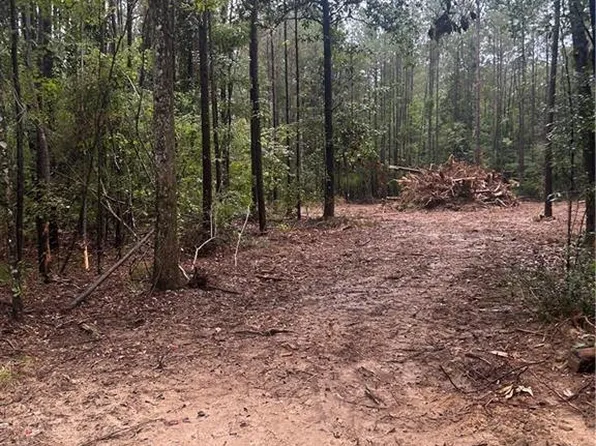 S Bennett Rd, Independence, LA 70443